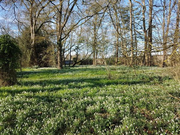 Vente Maison de luxe Chaingy 11 Pièces 371 m²