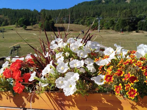 Hôtel - Restaurant à ALLOS (04260)