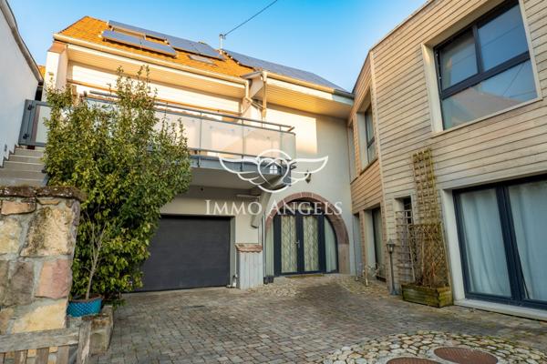 Grange rénovée esprit loft avec local pro & grande terrasse