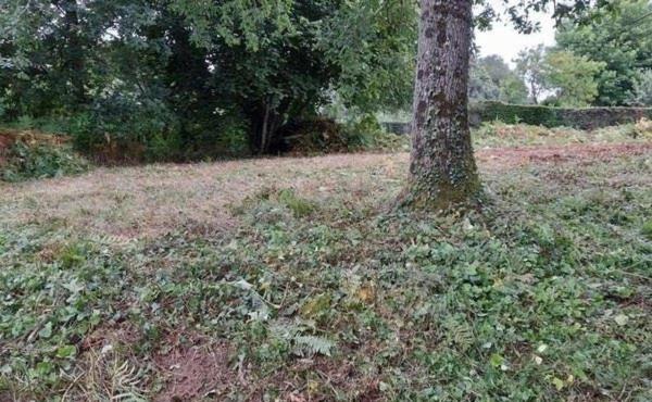 Terrain à LES MONTS D'ANDAINE, 61600 - 860m²