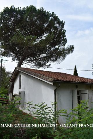MAISON PLEIN PIED DE DEUX CHAMBRES AU CALME PRES DE LA RIVIERE A RESTAURER