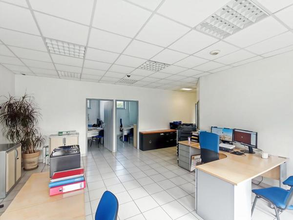 Bureaux - Local commercial - Albi