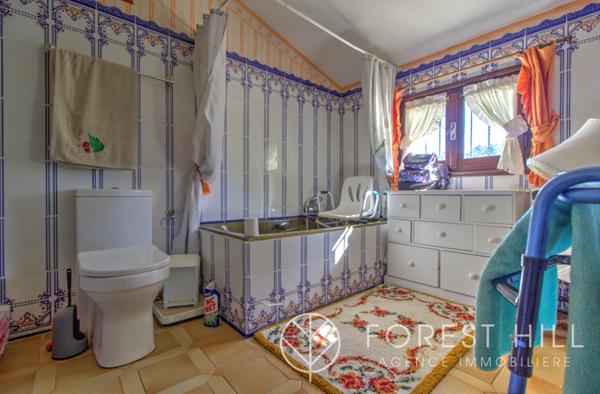 Céret (66400) Propriété sur plus de 2 hectares – cadre paisible et verdoyant