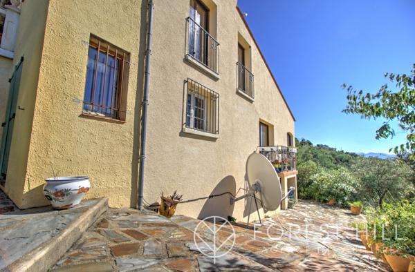 Céret (66400) Propriété sur plus de 2 hectares – cadre paisible et verdoyant