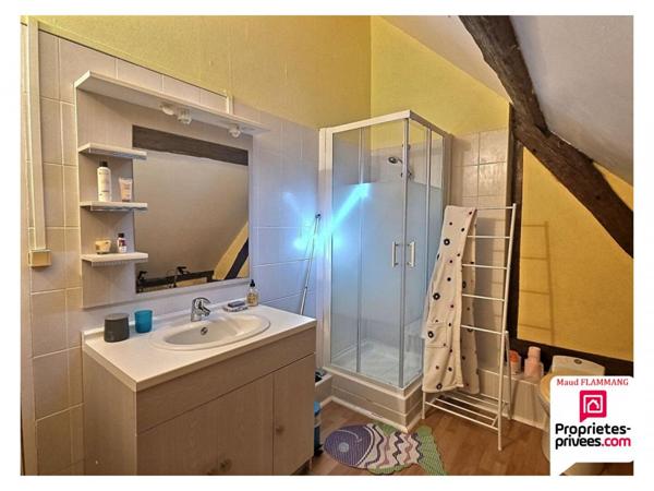 Longère Saint Jean De Braye 6 pièces 200 m2