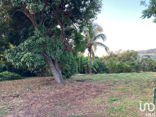 Terrain à vendre 632 m² Saint-Paul