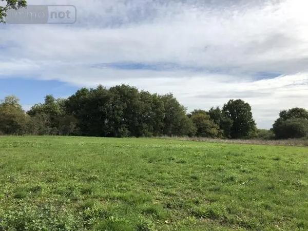 Achat - Terrain à bâtir Écuillé 49460 608 m 2