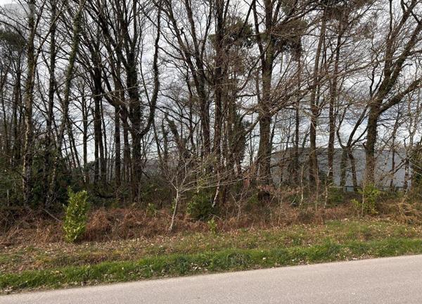 Terrain à Batir à vendre à Guer dans le Morbihan (56380), ref : 56046-1261