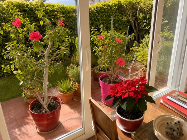 Appartement à vendre à Antibes (06600) - Alpes-Maritimes