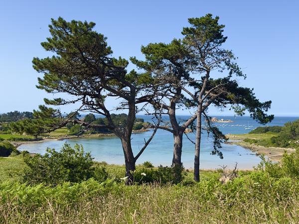 Maison à vendre à Penvénan (22710) - Côtes-d'Armor