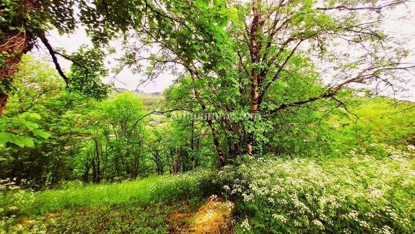 Vente Maison de village 4 pièces 51 m2 à Labastide-Rouairoux