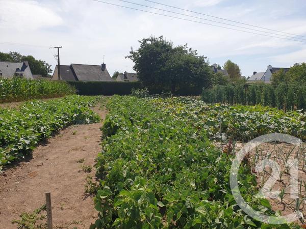 Terrain à vendre  755 m 2   QUESTEMBERT  - 56