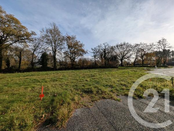 Terrain à vendre  755 m 2   QUESTEMBERT  - 56