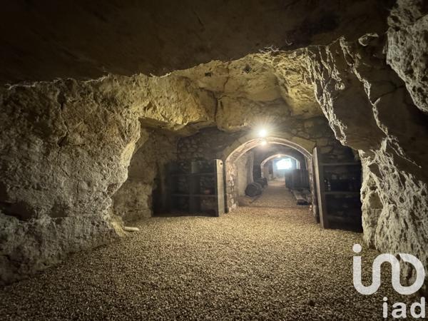 Maison à vendre 11 pièces 288 m² Coteaux-sur-Loire