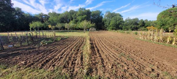 Mensignac (24350) À vendre maison de 145 m²,5 chambres,nombreuses dépendances ,14 000 m² de terrain ,calme et sans vie à vie.