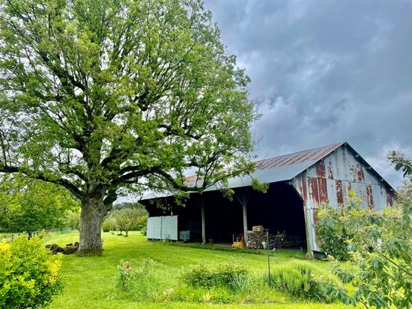 ENSEMBLE IMMOBILIER A VENDRE LE CONTROIS EN SOLOGNE