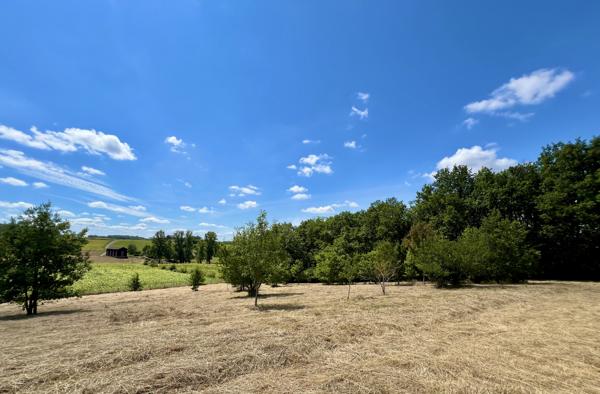 Maison à vendre à Miramont-de-Guyenne (47800) - Lot-et-Garonne