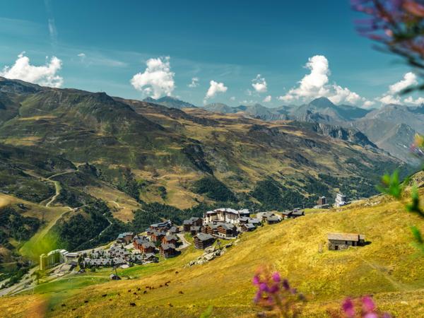 Commerce à vendre à LES MENUIRES (73440) - Savoie