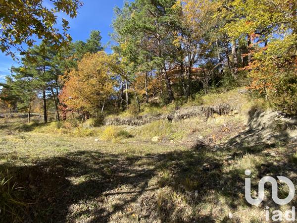 Terrain à vendre 1 000 m² Andon