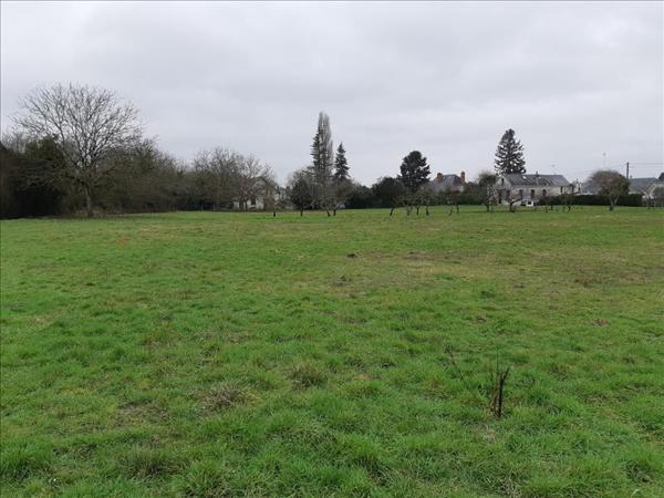 Terrain à vendre |  Palluau-sur-Indre |  6138 m²