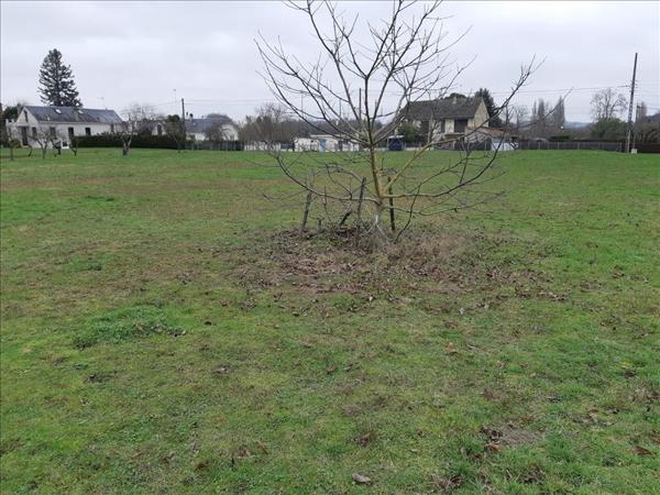 Terrain à vendre |  Palluau-sur-Indre |  6138 m²