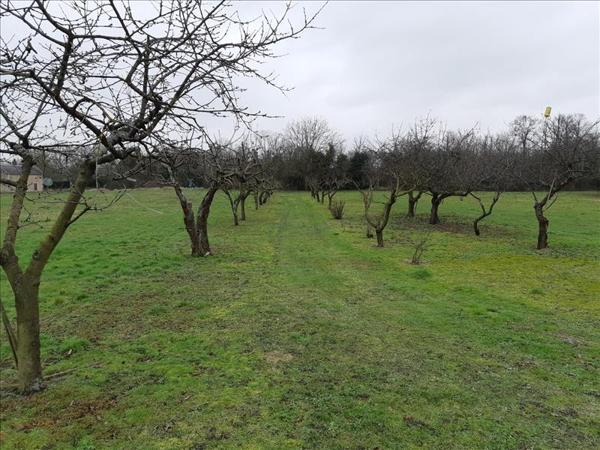 Terrain à vendre |  Palluau-sur-Indre |  6138 m²