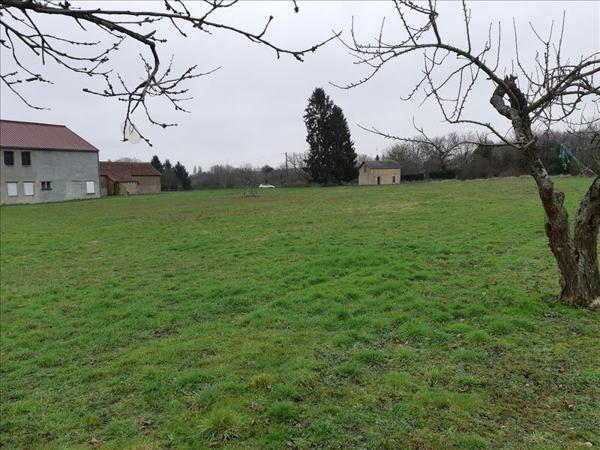 Terrain à vendre |  Palluau-sur-Indre |  6138 m²