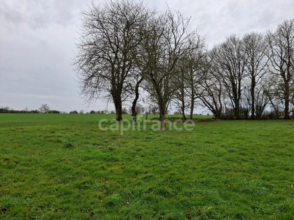 Maison à vendre 5 pièces (50)