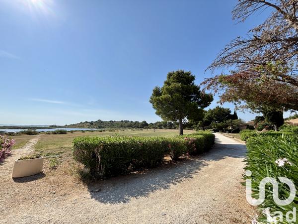 Maison à vendre 2 pièces 37 m² Fitou