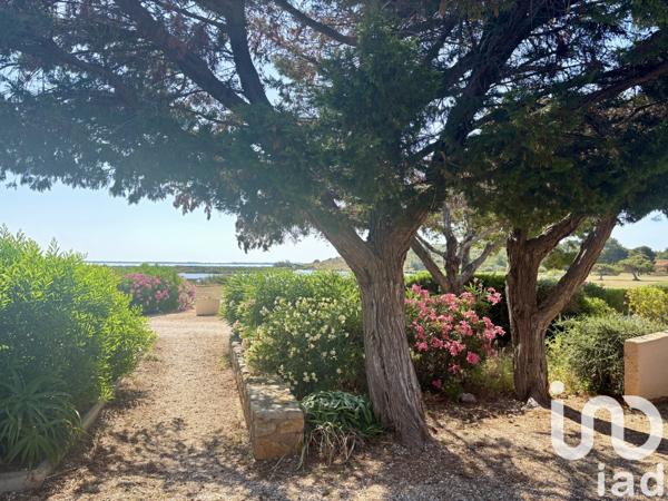 Maison à vendre 2 pièces 37 m² Fitou