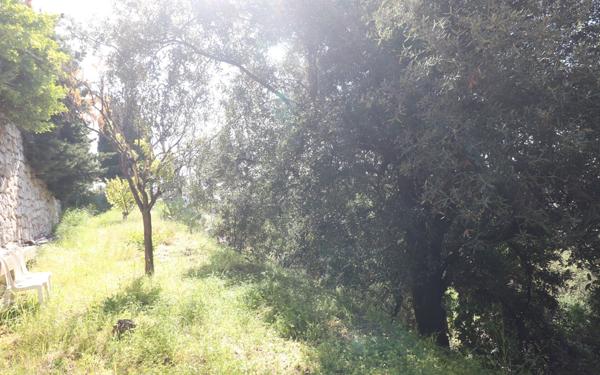 Appartement à vendre    2 pièces •  Sainte-Agnès