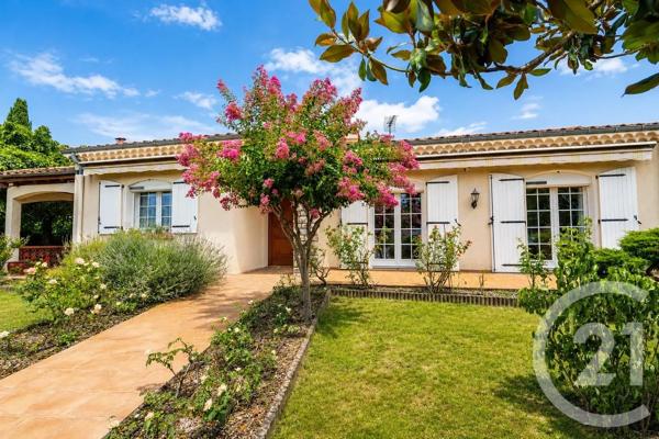 Appartement F4 à vendre  4 pièces - 142,54 m 2   ALBI  - 81