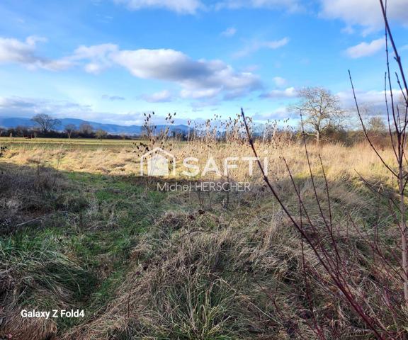 Holtzwihr Terrain viabilisé de 700 m² libre constructeur