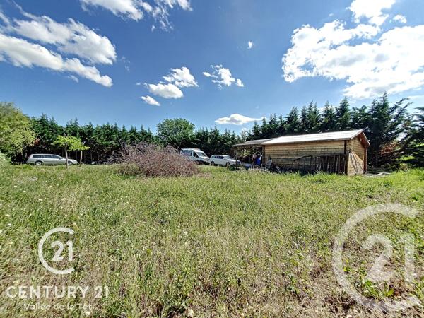 Terrain à vendre  1000 m2 TOULOUGES - 66