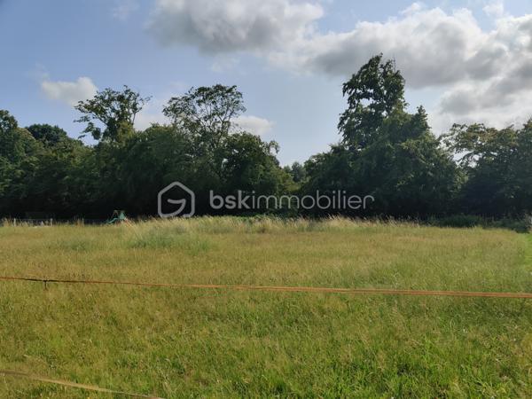 Terrain de 1 381 m²