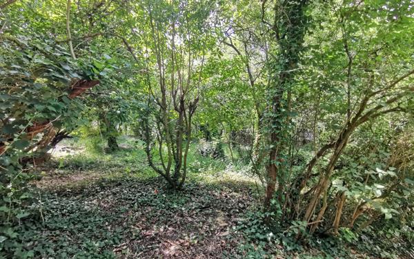 Terrain à vendre    Varennes-Jarcy