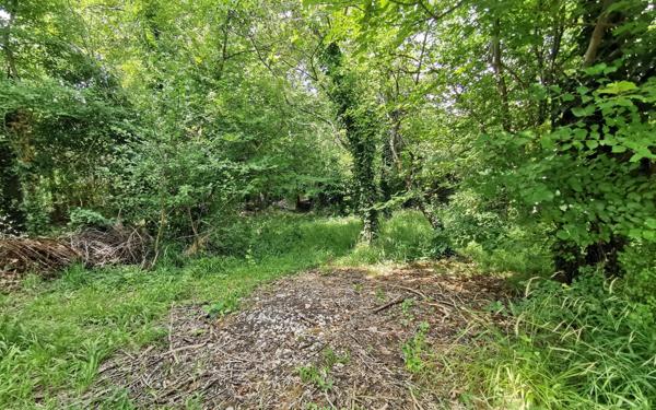 Terrain à vendre    Varennes-Jarcy