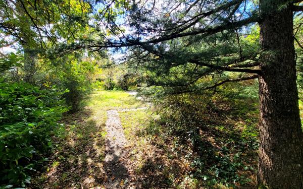 Maison à vendre    6 pièces •  Donnery