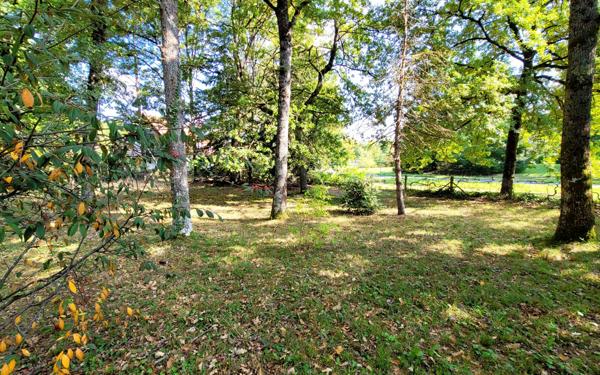 Maison à vendre    6 pièces •  Donnery