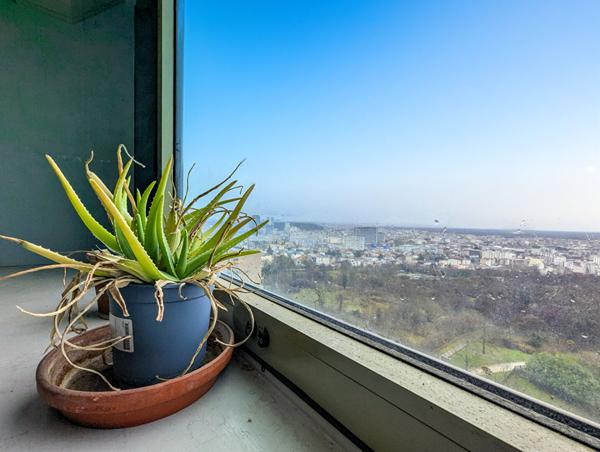 Appartement Bagnolet 4 pièce(s) 67.85 m2