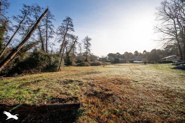 Maison à vendre |  Léon |  7 pièces | 190 m²