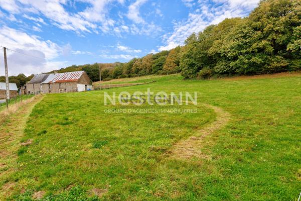 Vente d'une bâtisse en pierres avec dépendances 15000 m² de terrain en campagne du Gouray