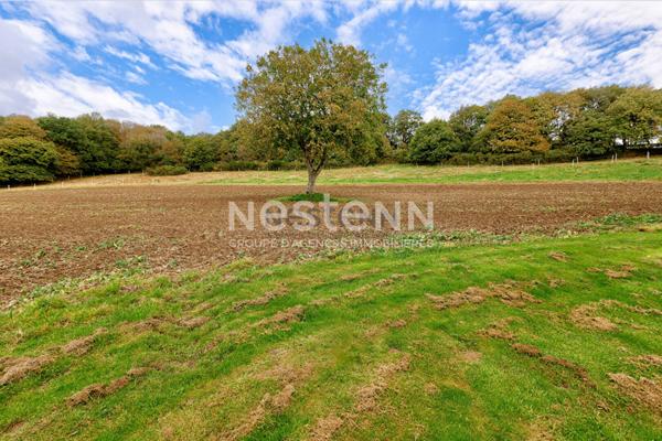 Vente d'une bâtisse en pierres avec dépendances 15000 m² de terrain en campagne du Gouray
