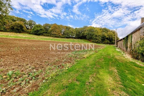 Vente d'une bâtisse en pierres avec dépendances 15000 m² de terrain en campagne du Gouray