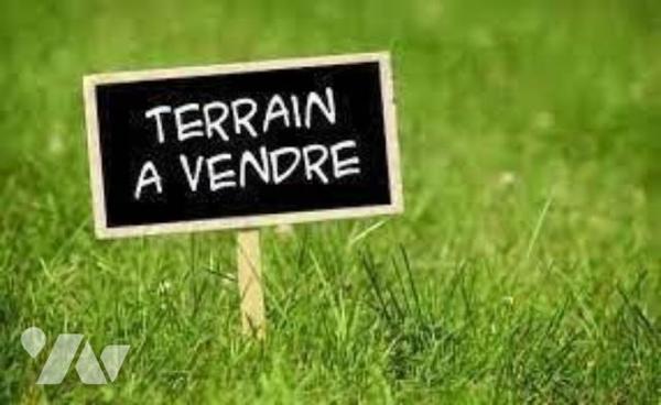TERRAIN A BATIR - A VENDRE- SOUGÉ ( 41800)