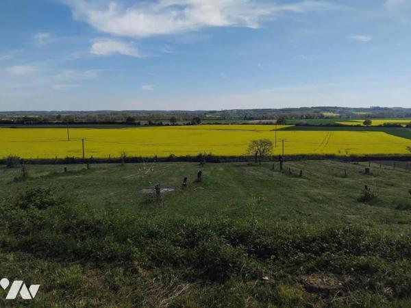 TERRAIN A BATIR - A VENDRE- SOUGÉ ( 41800)