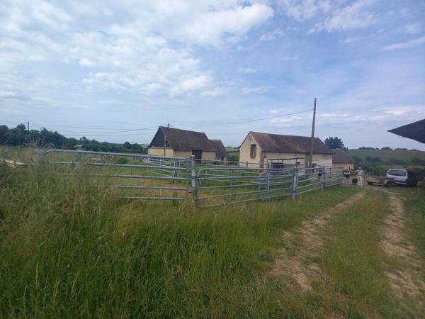 Corps de ferme très bien situé – Proche du Mans a seulement 44 km du Mans et 24 kms de Montoire  , proximité immédiate d’un centre commercial, ce corps de ferme offre de nombreuses possibilités dans un cadre calme et verdoyant.