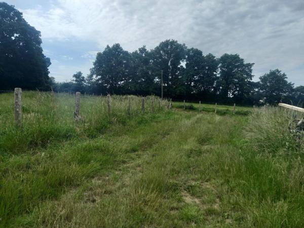 Corps de ferme très bien situé – Proche du Mans a seulement 44 km du Mans et 24 kms de Montoire  , proximité immédiate d’un centre commercial, ce corps de ferme offre de nombreuses possibilités dans un cadre calme et verdoyant.
