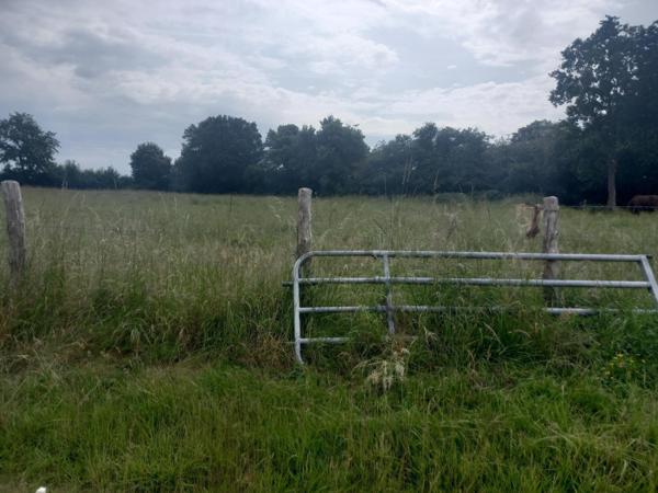 Corps de ferme très bien situé – Proche du Mans a seulement 44 km du Mans et 24 kms de Montoire  , proximité immédiate d’un centre commercial, ce corps de ferme offre de nombreuses possibilités dans un cadre calme et verdoyant.