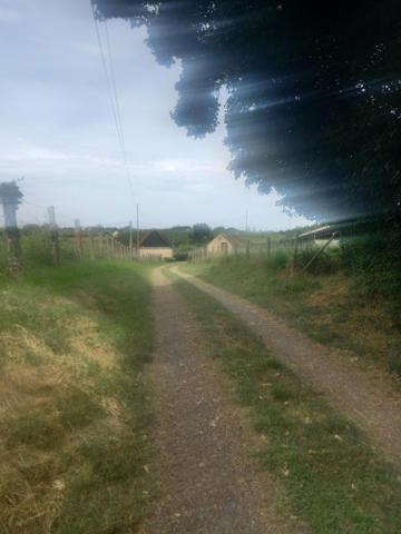 Corps de ferme très bien situé – Proche du Mans a seulement 44 km du Mans et 24 kms de Montoire  , proximité immédiate d’un centre commercial, ce corps de ferme offre de nombreuses possibilités dans un cadre calme et verdoyant.
